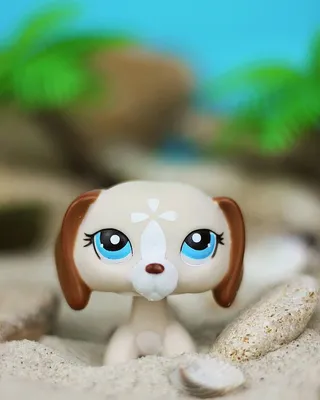 Lps dog лпс такса собачка собака | Little pet shop, Little pets, Pet shop