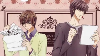 Аниме Лучшая в мире первая любовь [ТВ-1] | Sekaiichi Hatsukoi TV онлайн