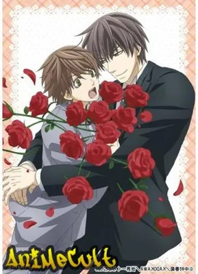 Аниме фильм Лучшая в мире первая любовь: Предложение | Sekaiichi Hatsukoi:  Propose-hen |