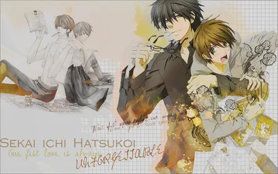 Пенал школьный Sekai-ichi Hatsukoi 2 Yokozawa and Zen Kirishima - купить  недорого