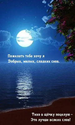 Ринат on X: "Спокойной ночи, Актаныш! Спокойной ночи, Татарстан! Спокойной  ночи, Россия !!! Тыныч йокы, дуслар!!!) /igvNgIymPS" / X