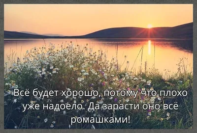 Лучшие актуальные женские статусы. Улыбайся и сохраняй. БД юмор. | Бумажный  день | Дзен