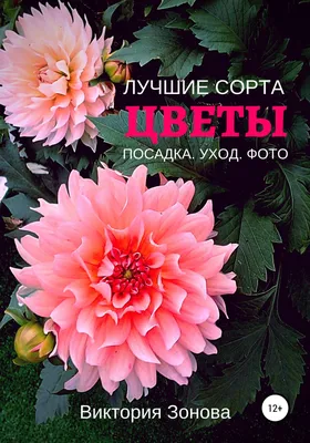 Цветы в коробке "Нежность" - купить с доставкой по Киеву - лучшие цены на  Цветы в шляпных коробках в интернет магазине доставки цветов STUDIO Flores