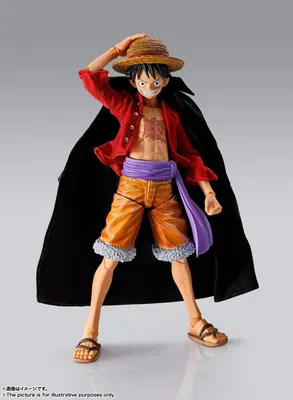 Kid Luffy PNG Image | OngPng