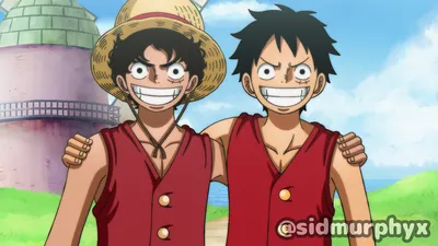 Luffy png download - 2048*2048 - Free Transparent LUFFY png Download. -  CleanPNG / KissPNG