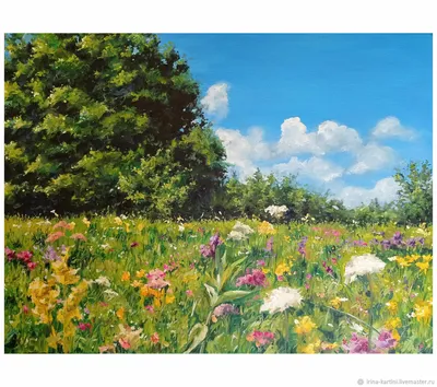 Картинки пейзаж, луг, цветы, небо - обои 1680x1050, картинка №468871