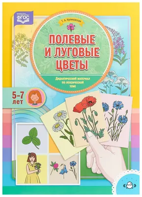 Тетрадь для общения и развития детей "Луговые цветы" СФ-Т-23 в  Москве|