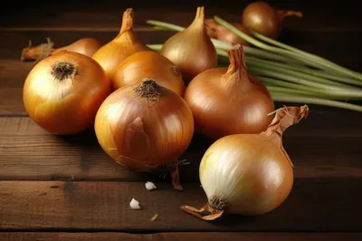 Fair Gourmet Green Onion - свежий и вкусный – Panayır Gourmet Göcek