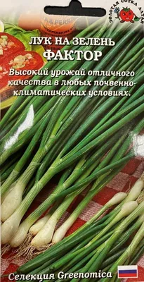 Лук репчатый Сибирский Великан F1 раннеспелый 0,2гр (УД) ЦП — купить в  Вологде в СтройОптТорг: выбирайте в каталоге с ценами, характеристиками,  фото.