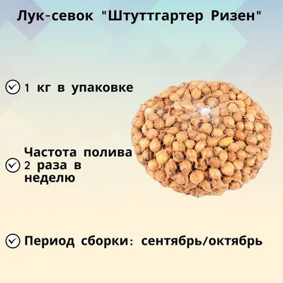 Семена лук репчатый Кольчуга Халцедон Е08301 1 уп. - купить в Москве, цены  на Мегамаркет