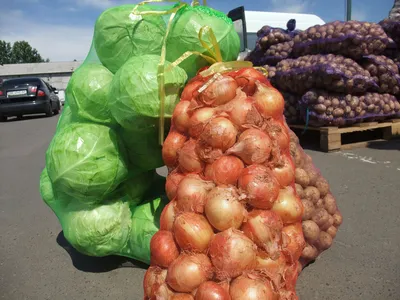Мешок-сетка овощная 5 кг (28х40см). Картошка, лук, овощи, фрукты.  (ID#553529758), цена:  ₴, купить на 