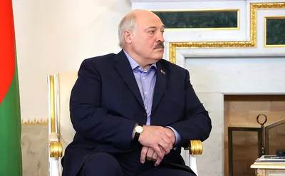 В Госдуме рассказали о состоянии Лукашенко - РИА Новости, 