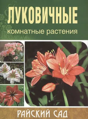 Пилея пеперомиевидная ⌀5 купить в Москве с доставкой | Магазин растений  Bloom Story (Блум Стори)