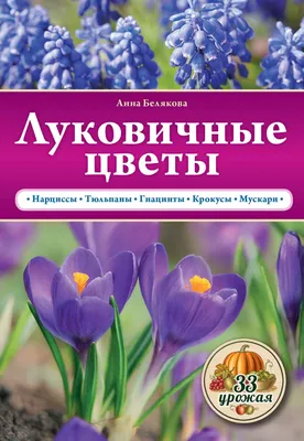 Какие луковичные растения самые душистые? - посадка, уход, фото, как  вырастить и собрать урожай - «Блог Флориум.юа» 2023