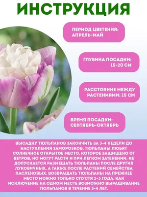Луковичные цветы весна (в ассортименте) Купить в магазине СВЕТОФОР село  Верхние Киги, ул Ибрагимова, зд 15