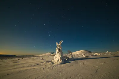 Лунная ночь. Фотограф Антон Селезнев