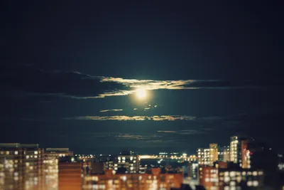 Лунная ночь на Волге / фото