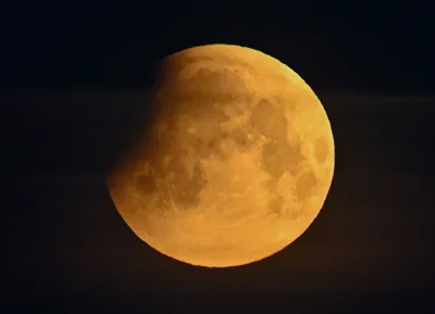 Белорусы смогут увидеть лунное затмение вечером 5 мая — Блог Гродно s13