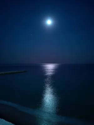 Картина "Лунный свет" – заказать на Ярмарке Мастеров – 45453BY | Картины,  Воронеж