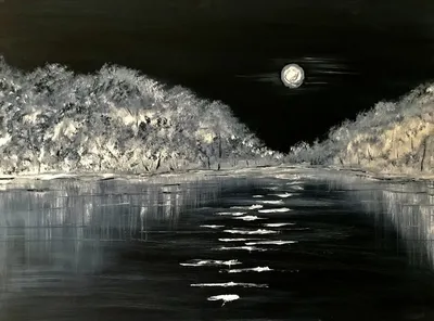 Бесплатное изображение: ночь, лунный свет, дерево, Луна, туман, закат,  пейзаж, силуэт, небо, Рассвет