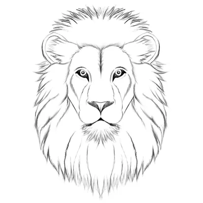 Картинки по запросу лев рисунок | Lion canvas art, Lion painting, Lion  illustration