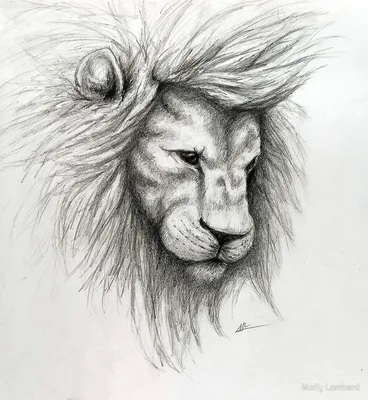Как нарисовать для детей льва