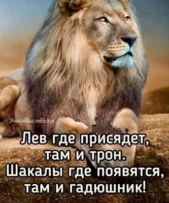 Вдохновляющие цитаты в виде льва, настенные постеры и картинки в виде Лев  для гостиной, домашний декор | AliExpress