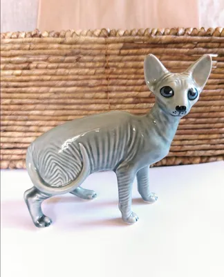 Royal Canin Sphynx 33 - «Хороший корм для лысых кошек)» | отзывы