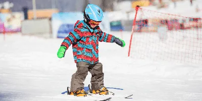 10 лучших лыж для детей 2024: рейтинг топ беговых и горных детски лыж с  ценами и отзывами