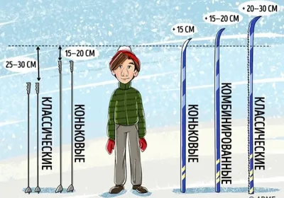 Горные лыжи для детей, ехать ли на курорт? | ПульсПлюс | Дзен