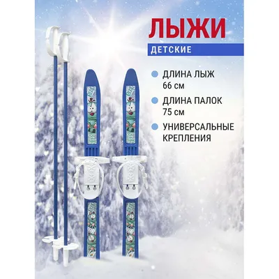 Лыжный комплект беговой NovaSport 043049-046942_043050 - купить по выгодным  ценам в интернет-магазине OZON (368836094)