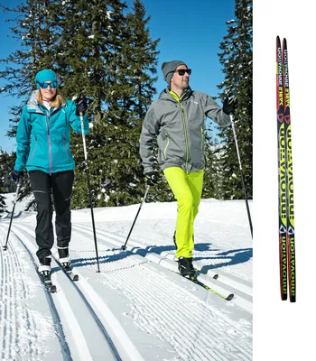 Горные и беговые лыжи: как правильно подобрать себе инвентарь и не  переплатить - Чемпионат