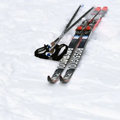 Лыжи беговые с креплениями STC Step SNS (цвет в ассортименте) - Сеть  спортивных магазинов Чемпион
