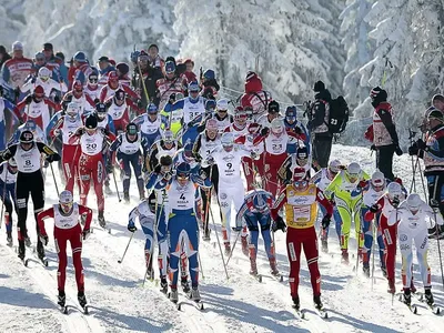 Лыжного спорта 54 картинки