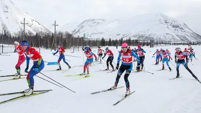 Управление физической культуры и спорта мэрии г. Новосибирска.