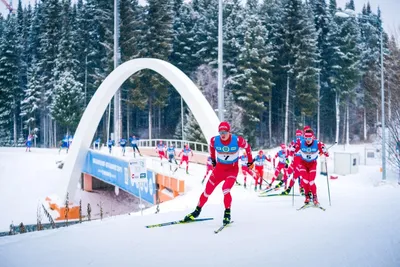 Лыжники сборной России проведут открытую тренировку в Ханты-Мансийске -  Новостной портал 