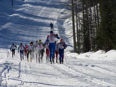 Норвежская звезда лыжного спорта за две недели получила столько же, сколько  за весь прошлый год (, Финляндия) | , ИноСМИ