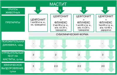 Как построить отношения с мужчиной