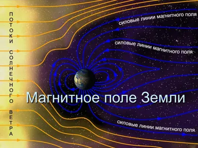 Характеристики и свойства магнитного пола. Проявления магнитного поля в  жизни