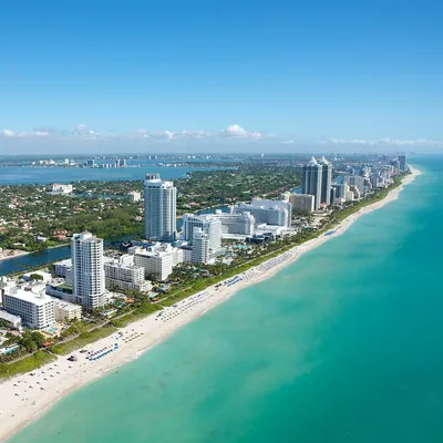 Home - City of Miami Beach