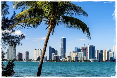 Miami city guide: Where to stay, eat, drink and shop in Florida's  high-living city | The Independent