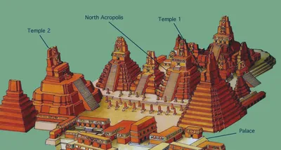 Цивилизация майя пришла в упадок по этим причинам - ученые выдвинули новые  гипотезы | РБК Украина