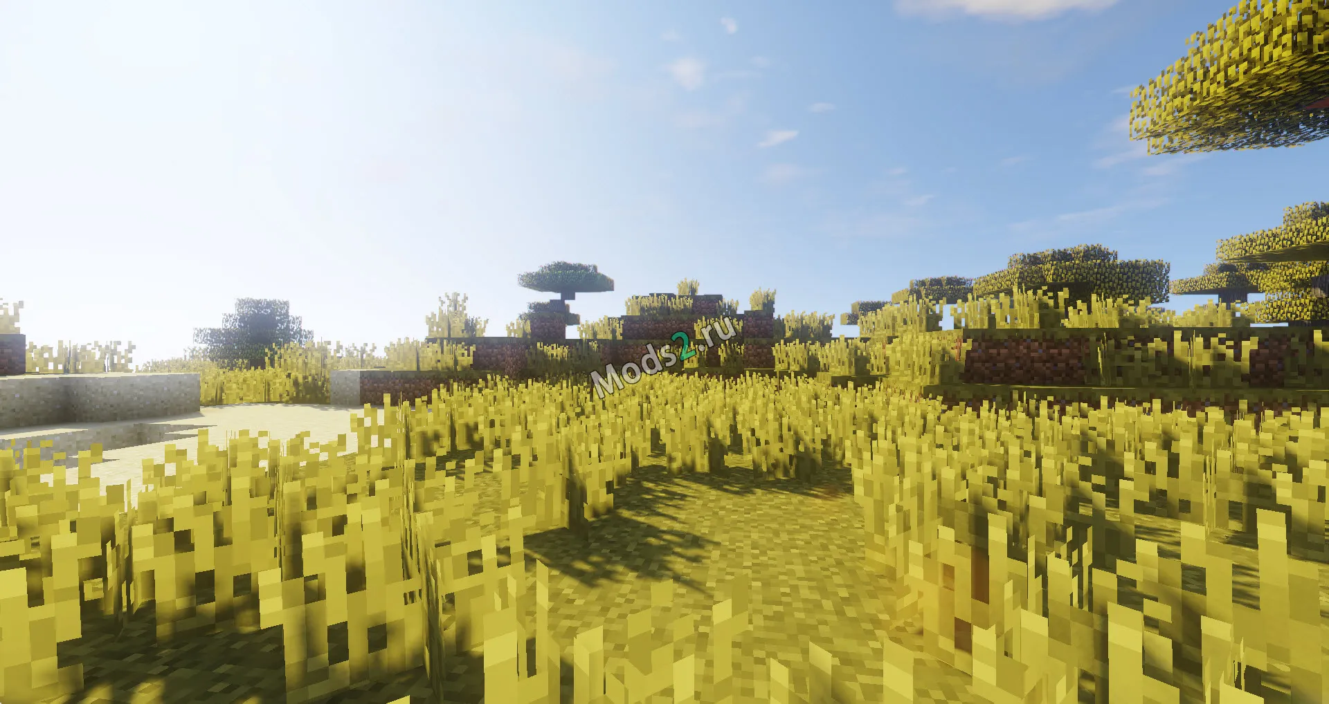 Miniature shaders 1.16 5