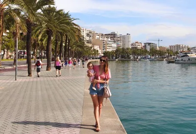 Mallorca at a glance - Discover Mallorca