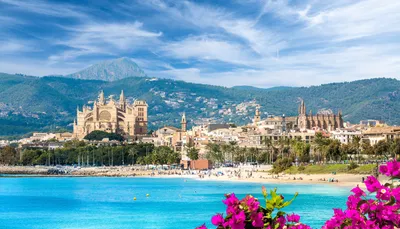 Why visit Mallorca? | Posada Terra Santa