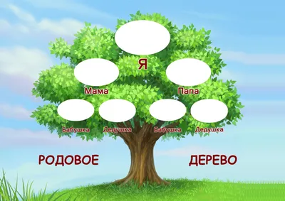 Делаем генеалогическое дерево своей семьи своими руками. Готовые шаблоны. |  Генеалогическое древо, Семейное дерево шаблоны, Шаблоны