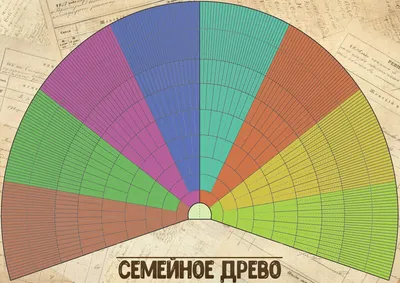 идеи семейного дерева | Семейное дерево проекты, Бесплатный шаблон,  Семейное дерево