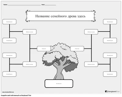 Бесплатная Программа для Создания Семейного Древа, Примеры и Шаблоны в  Интернете