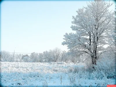 Фото: Зима в Бердянске.... Фотограф Максим Емельянов. Пейзаж. Фотосайт  Расфокус.ру