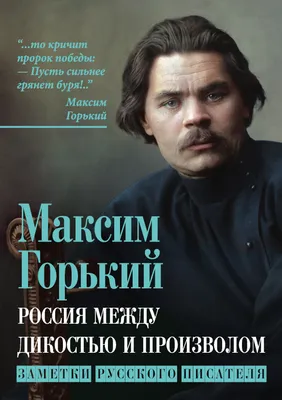 Всех этих людей ветер зимою солил снегом, летом – горячим песком»: писатель Максим  Горький о Царицыне